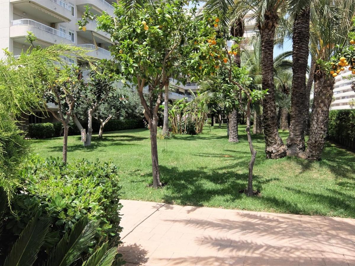 Playa de Gandia Parque Mota - Alquiler Solo A Familias 아파트 외부 사진